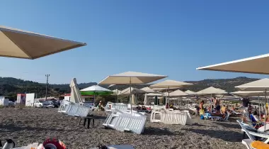 Şahmat Kamp