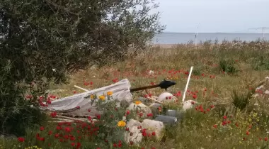 Şahmat Kamp