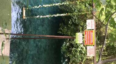 YUVARLAKCAY ÇINAR CAMPING