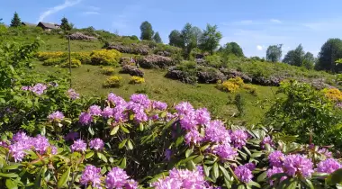 Rahmi Amcanın Yeri , Hıdırnebi Camping