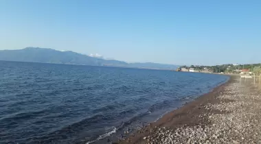 Sokakağzı Zeytin Kamp