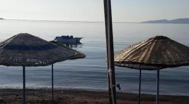 Sokakağzı Zeytin Kamp