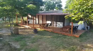 Dama Kamp Alanı