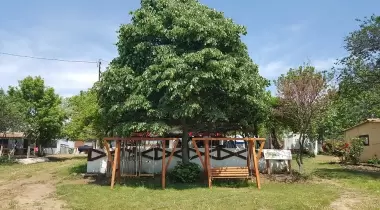 Dama Kamp Alanı