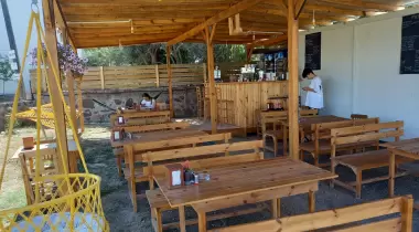 Sokakağzı Zeytin Kamp