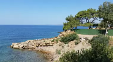 Kalemlik Orman Kampı