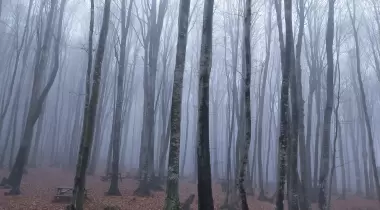 Eriklitepe Tabiat Parkı