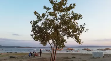 Ünlü Kamping