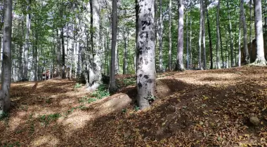 Eriklitepe Tabiat Parkı