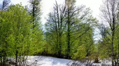 Eriklitepe Tabiat Parkı