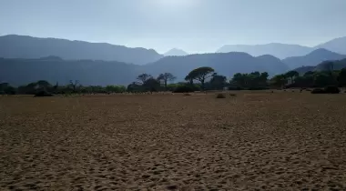Çıralı Kamping