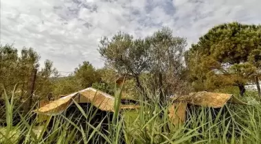 Aylin camping