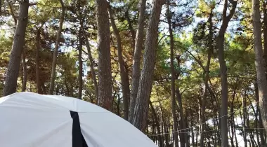 Erikli Camping