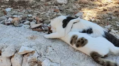 Ufakdere camping
