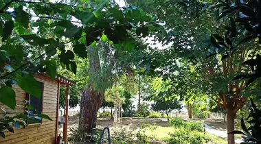 Secret Garden Bungalows & Tent Hotel