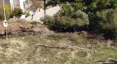 Zeytinlik Çadır Kamp Ve Piknik Yeri