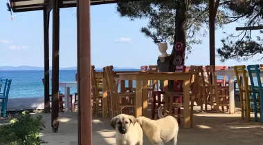 Helen Camping Beach