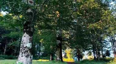 Rahmi Amcanın Yeri , Hıdırnebi Camping