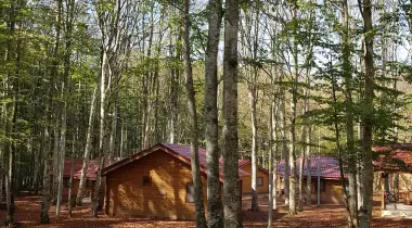 Eriklitepe Tabiat Parkı