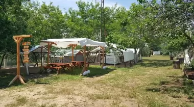 Dama Kamp Alanı