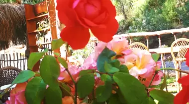 Gizli Cennet Çadır Camping