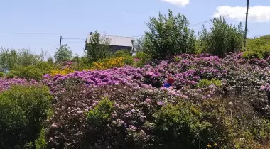 Rahmi Amcanın Yeri , Hıdırnebi Camping