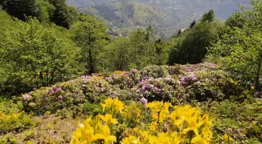 Rahmi Amcanın Yeri , Hıdırnebi Camping