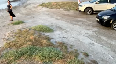 Ayvalık Badavut Tabiat Parkı
