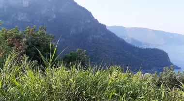 Caliente Bungalow kabak koyu