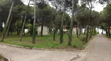 Belediye Kamp Alanı