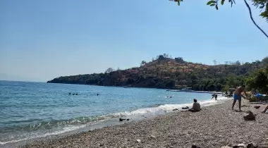 Aşağı Mazı Ilgın koyu