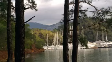 Ayten Koyu Kamp Alanı