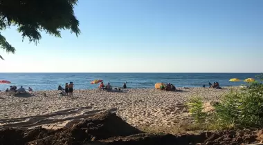 Gürpınar Camping