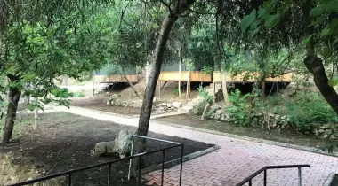 Kamp Alen İncekum