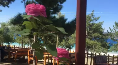Ayyıldız Çadır Kampı