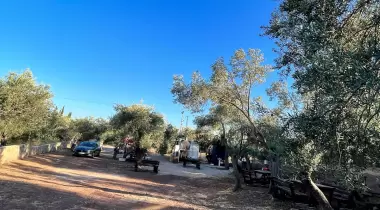 Moonlight Restaurant Camping