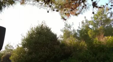 Sarımsaklı Tabiat Parkı