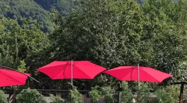 Benim Yeşil Bahçem Sapanca