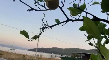 AKBÜK GARDEN BEACH CAMPING CAFETERIA