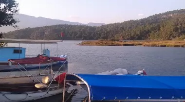 İnce kum çamlık