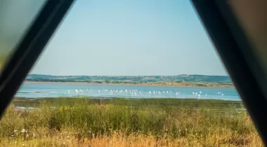 Flamingo Bungalow & Camping