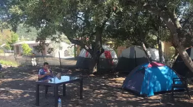 Salkım Saçak Camping