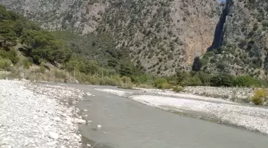 The XanyoN