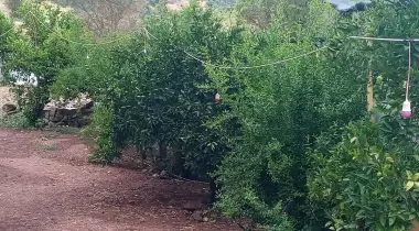 Olympos Renkli Dünya Camping