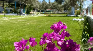 Verano Camping