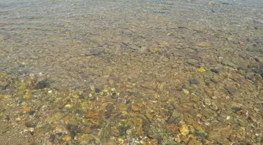 Göynügür Kamp