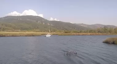 İnce kum çamlık