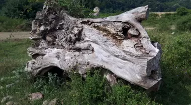 Bartın İl Özel İdaresi Mugada Kamp Alanı