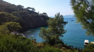 Gazi Koyu