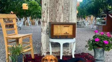 Mandalin Camping